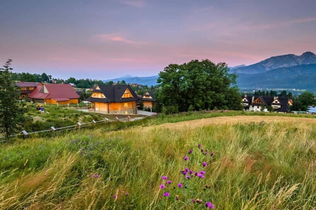 Chalet Pitoniowka Z Sauna, Netflix Oraz Xbox One Kościelisko